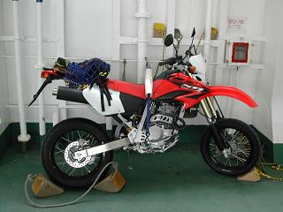 �j�œI�ɔ�����XR