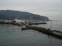 ����Ɍ�����͖[������