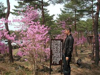 ��F�u�Ԃ̖��O�Ȃ�ĂقƂ�ǒm��Ȃ��Ȃ��E�E�E�B�v